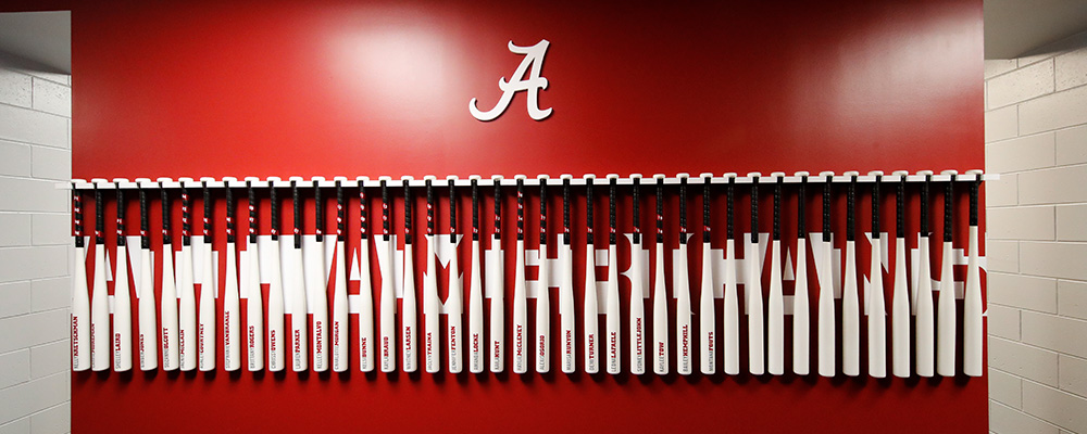 Bats hanging on a red wall