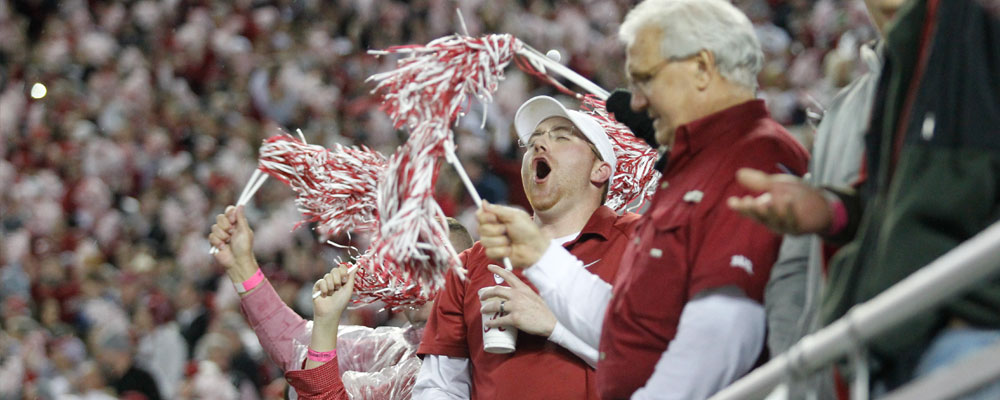 fan at a football game